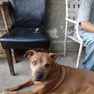 Meet your Posher, Christina